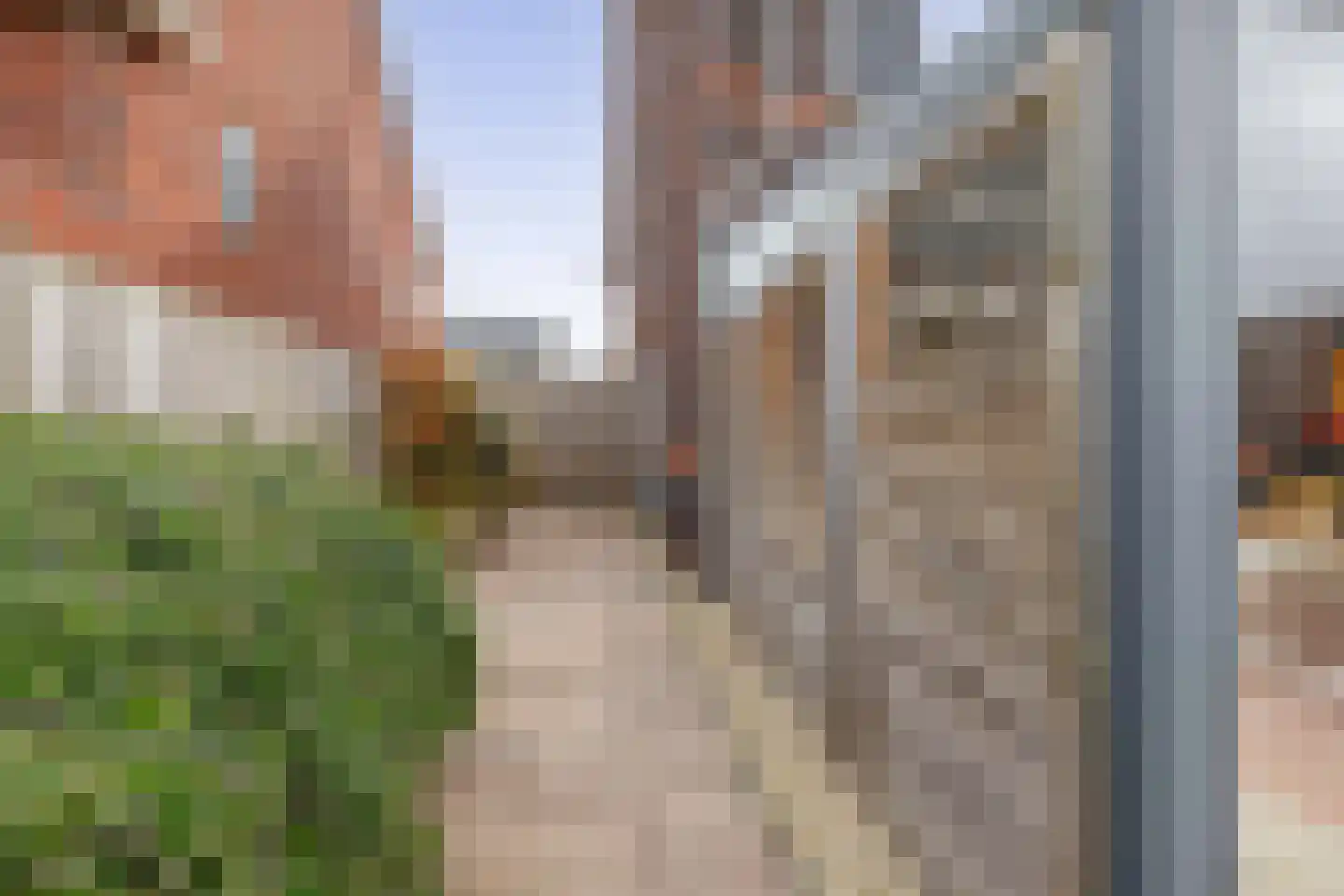 Tuinbouwweg 31 Waddinxveen thumbnail 15