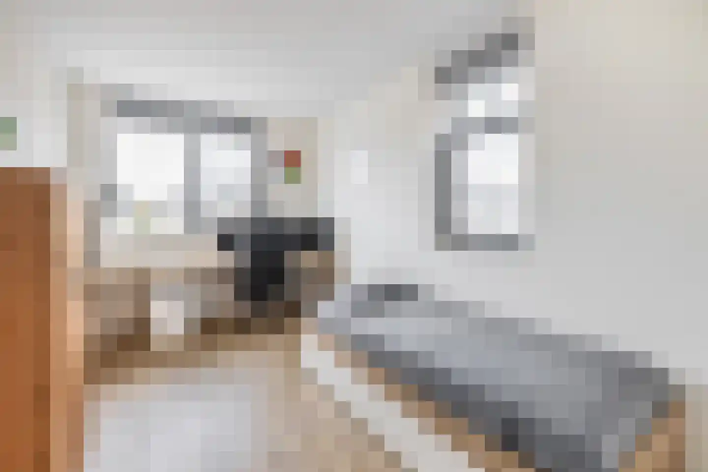 Tuinbouwweg 31 Waddinxveen thumbnail 18