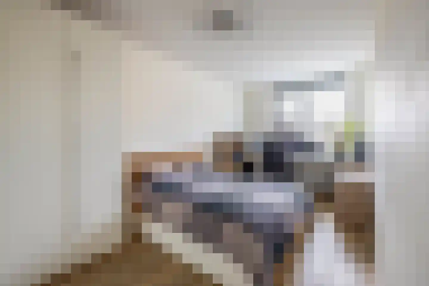 Tuinbouwweg 31 Waddinxveen thumbnail 30