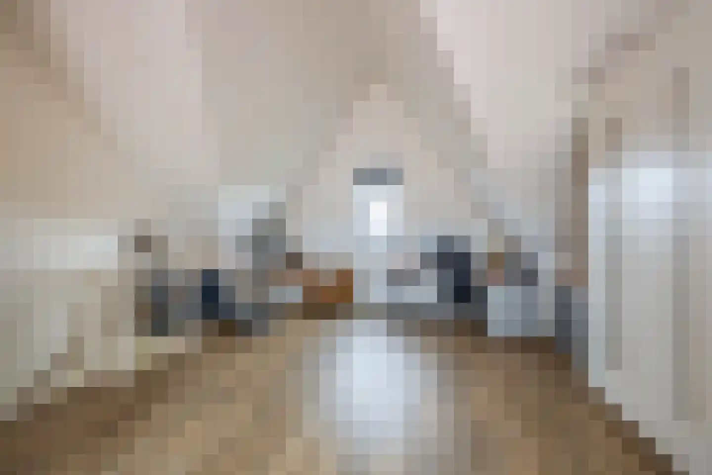 Tuinbouwweg 31 Waddinxveen thumbnail 32