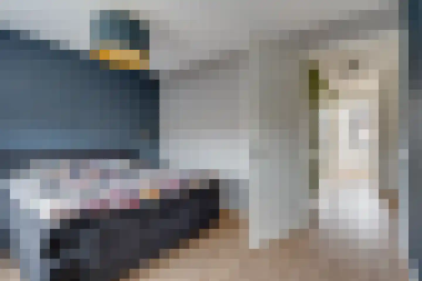 Tuinbouwweg 33 Waddinxveen thumbnail 17