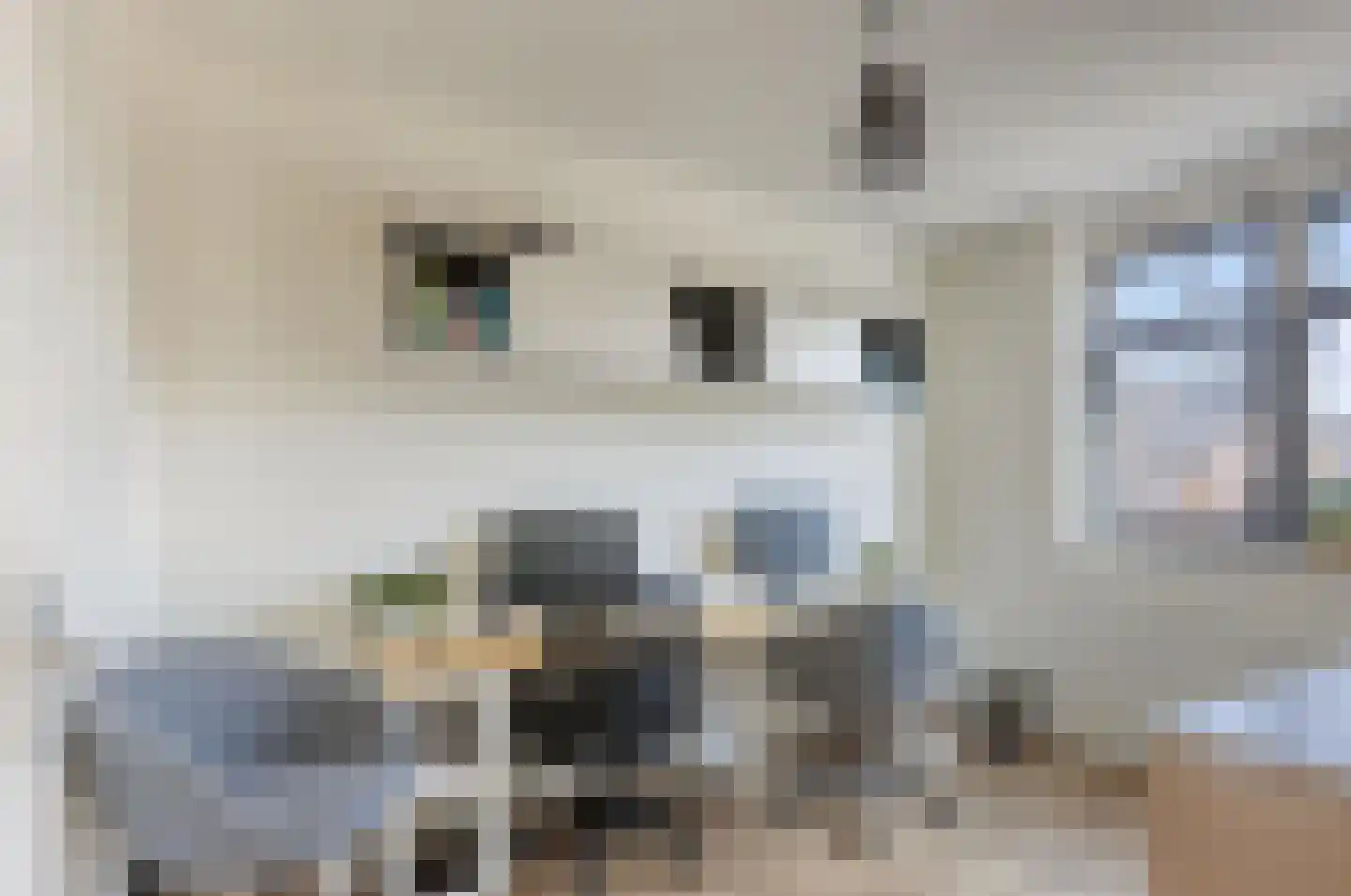 Tuinbouwweg 33 Waddinxveen thumbnail 18
