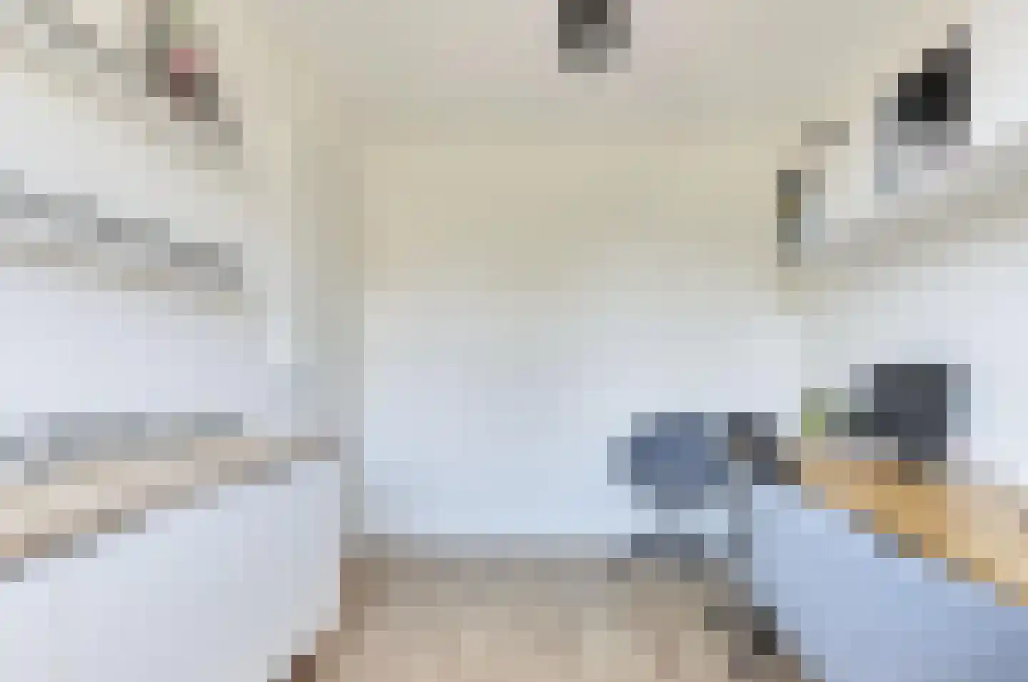 Tuinbouwweg 33 Waddinxveen thumbnail 19