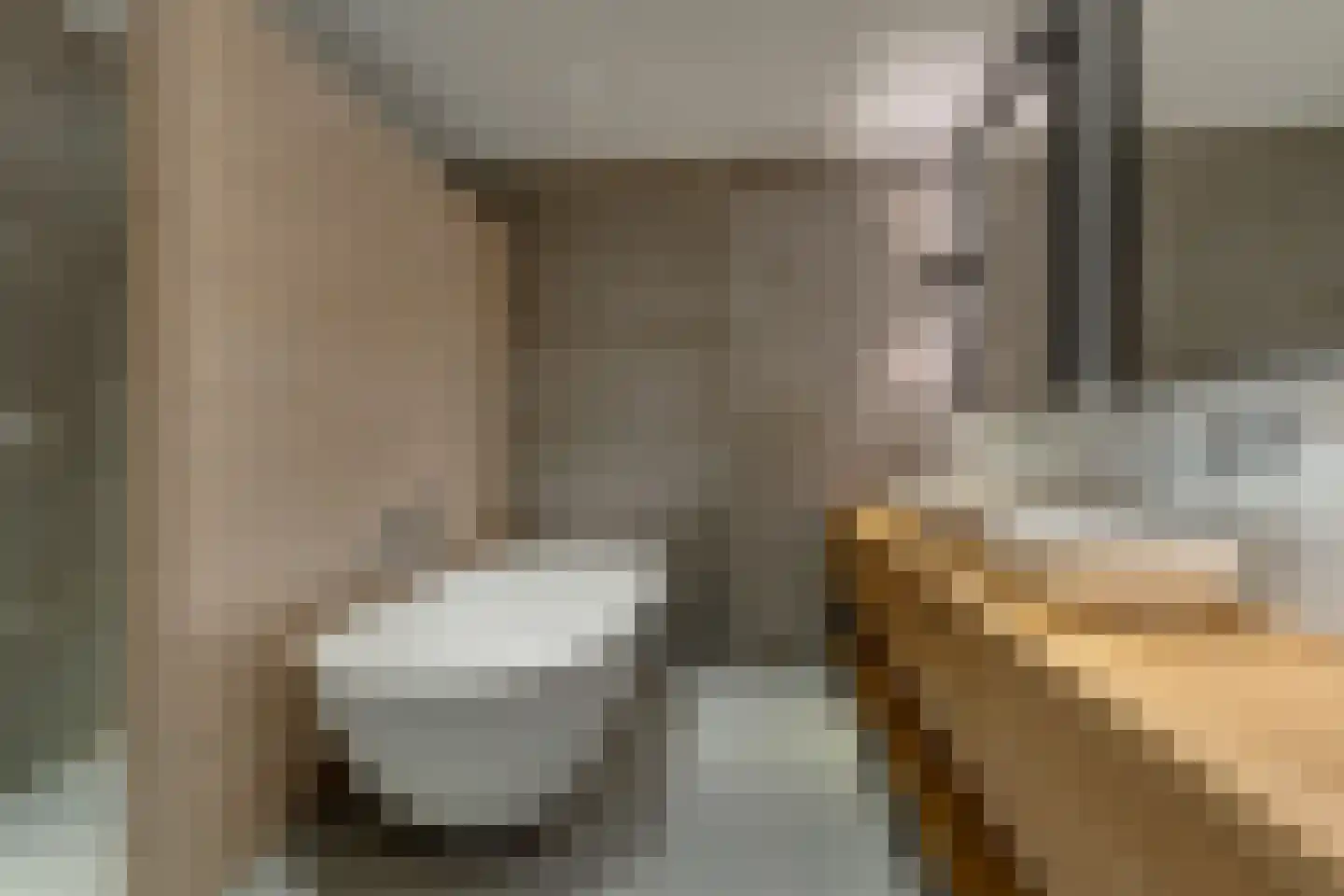 Tuinbouwweg 33 Waddinxveen thumbnail 22