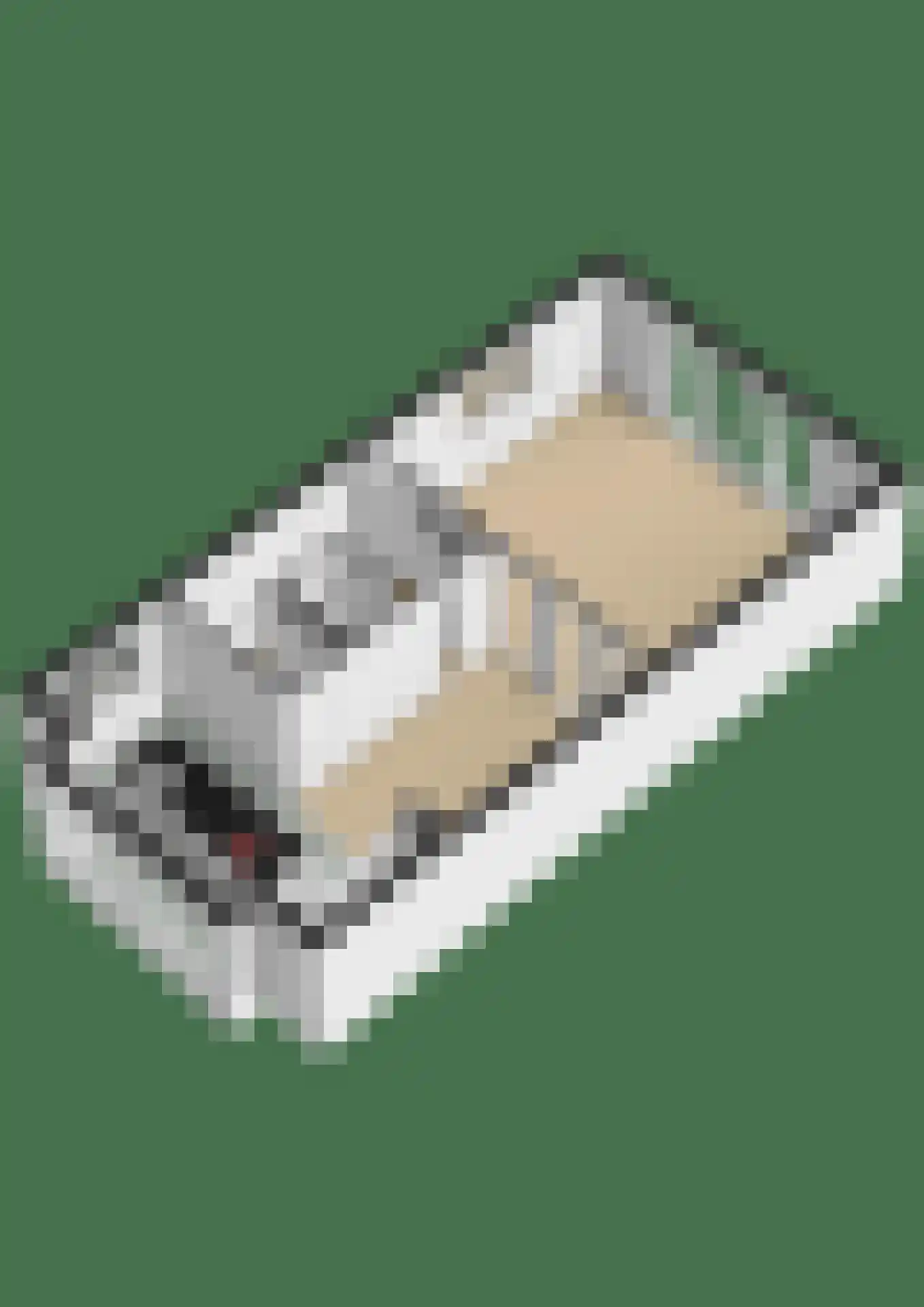 Tuinbouwweg 33 Waddinxveen thumbnail 41