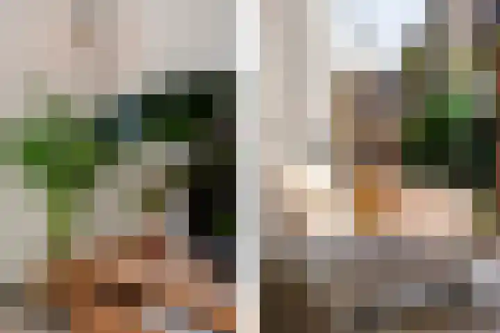 Tuinbouwweg 40 Waddinxveen thumbnail 16