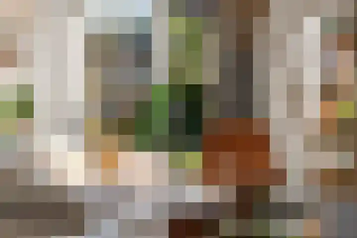 Tuinbouwweg 40 Waddinxveen thumbnail 18