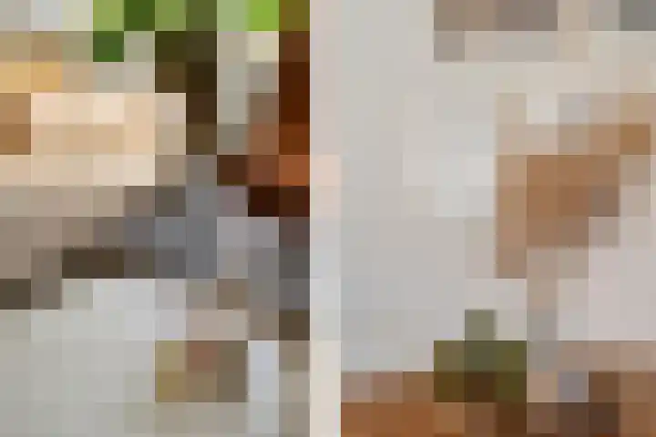Tuinbouwweg 40 Waddinxveen thumbnail 21