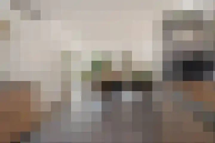 Tuinbouwweg 40 Waddinxveen thumbnail 29