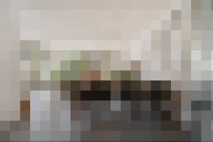 Tuinbouwweg 40 Waddinxveen thumbnail 31