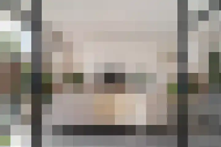 Tuinbouwweg 40 Waddinxveen thumbnail 32