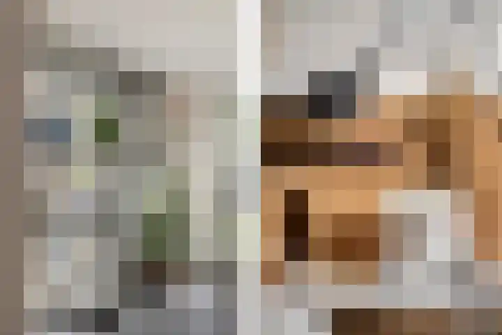 Tuinbouwweg 40 Waddinxveen thumbnail 33