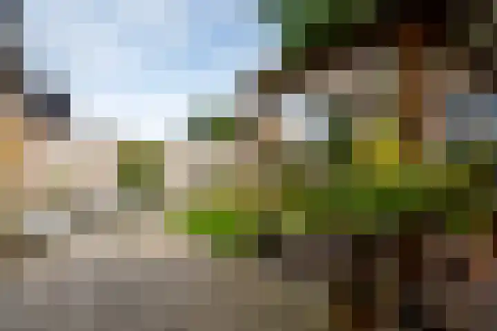 Tuinbouwweg 40 Waddinxveen thumbnail 40