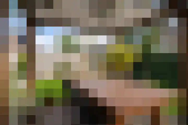 Tuinbouwweg 40 Waddinxveen thumbnail 44