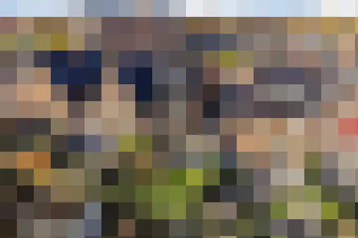 Tuinbouwweg 40 Waddinxveen thumbnail 45