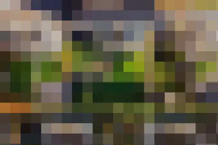 Tuinbouwweg 40 Waddinxveen thumbnail 46