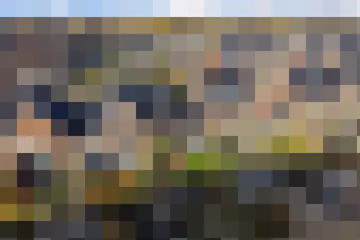 Tuinbouwweg 40 Waddinxveen thumbnail 47