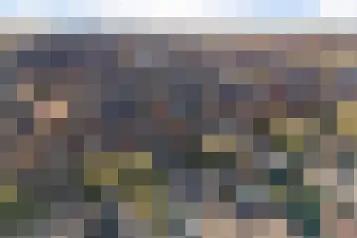 Tuinbouwweg 40 Waddinxveen thumbnail 5