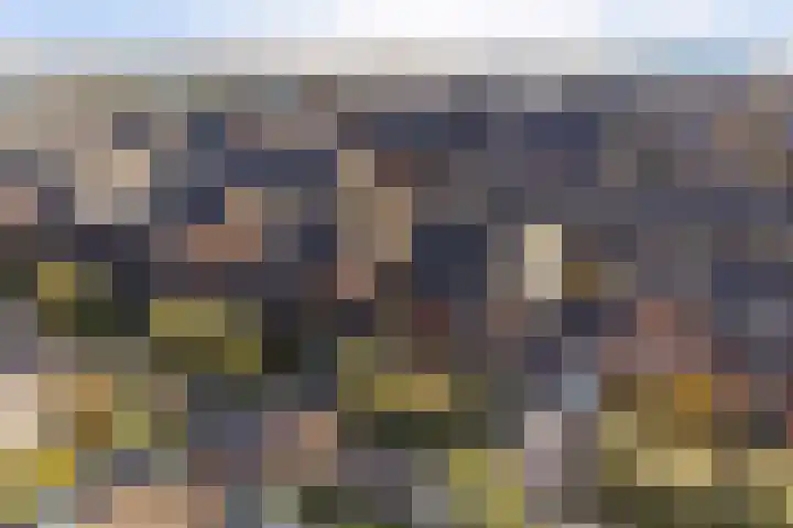Tuinbouwweg 40 Waddinxveen thumbnail 6