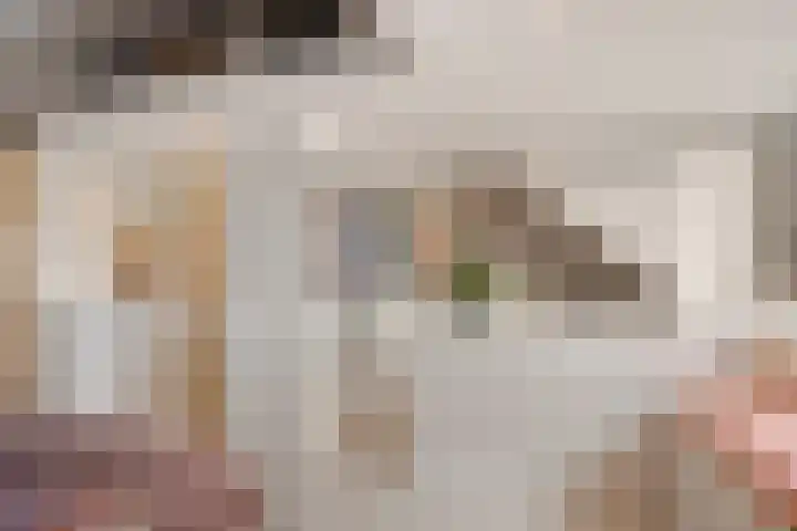 Tuinbouwweg 40 Waddinxveen thumbnail 71