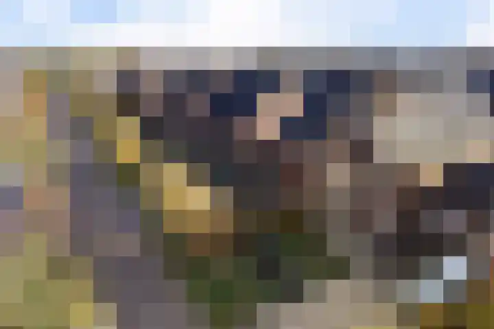 Tuinbouwweg 40 Waddinxveen thumbnail 77