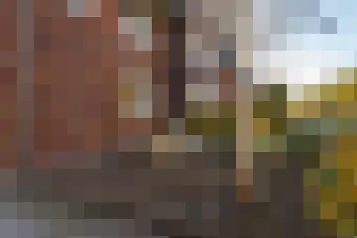 Tuinbouwweg 40 Waddinxveen thumbnail 8