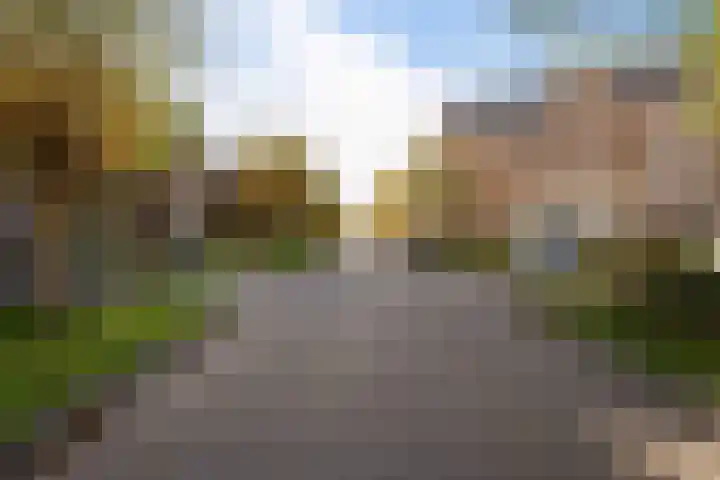Tuinbouwweg 40 Waddinxveen thumbnail 80