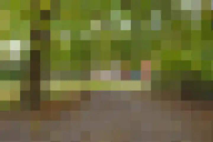 Tuinbouwweg 45 Uithuizermeeden thumbnail 10