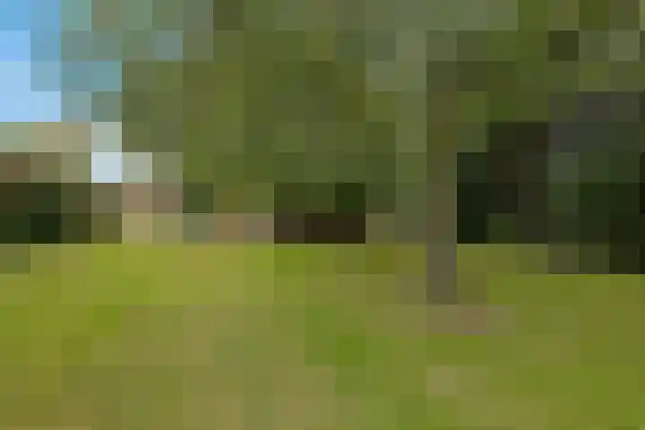 Tuinbouwweg 45 Uithuizermeeden thumbnail 11