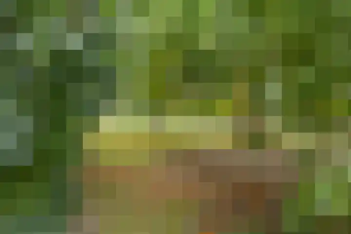 Tuinbouwweg 45 Uithuizermeeden thumbnail 12