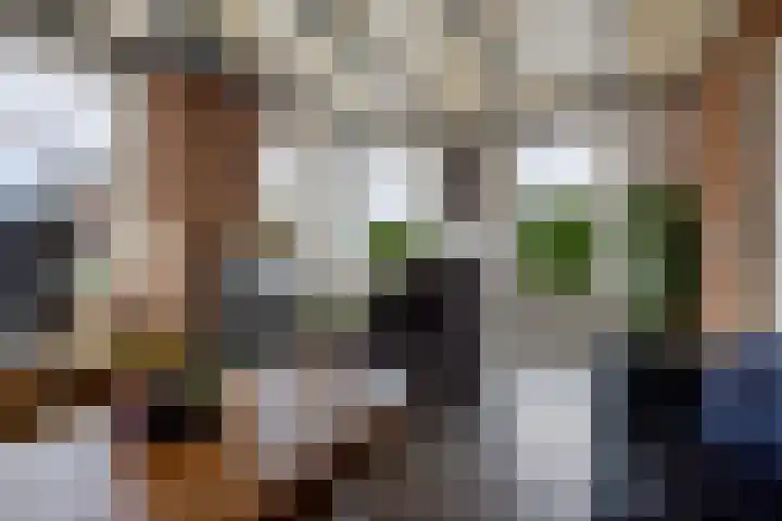 Tuinbouwweg 45 Uithuizermeeden thumbnail 14