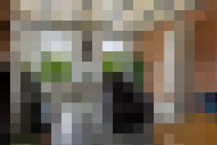 Tuinbouwweg 45 Uithuizermeeden thumbnail 16