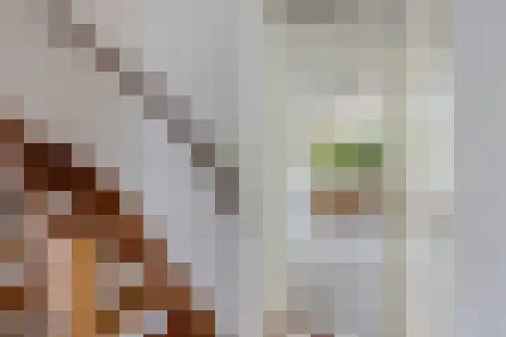 Tuinbouwweg 45 Uithuizermeeden thumbnail 23