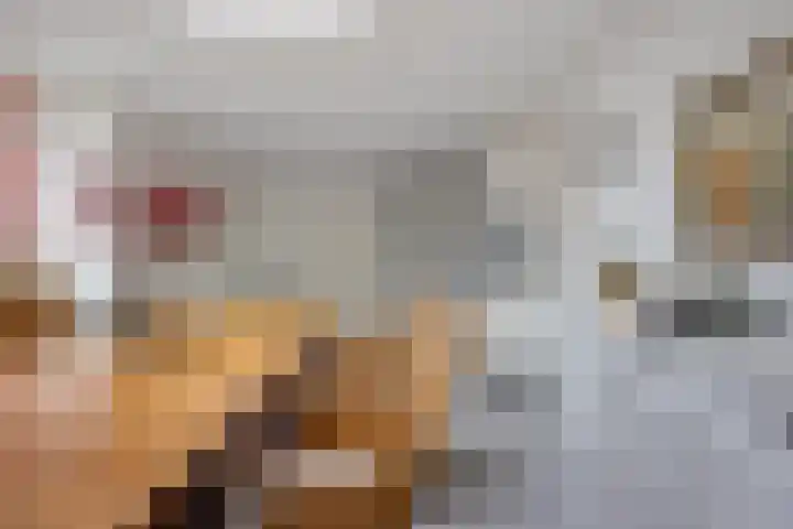 Tuinbouwweg 45 Uithuizermeeden thumbnail 28