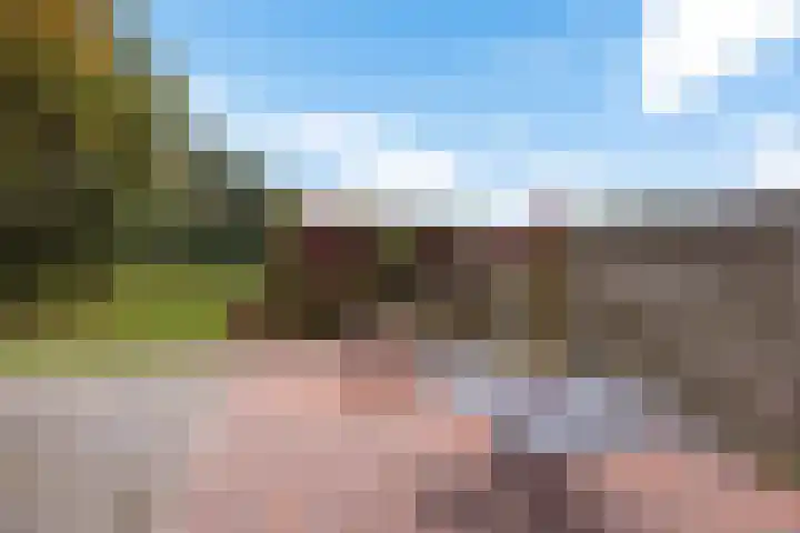 Tuinbouwweg 45 Uithuizermeeden thumbnail 9