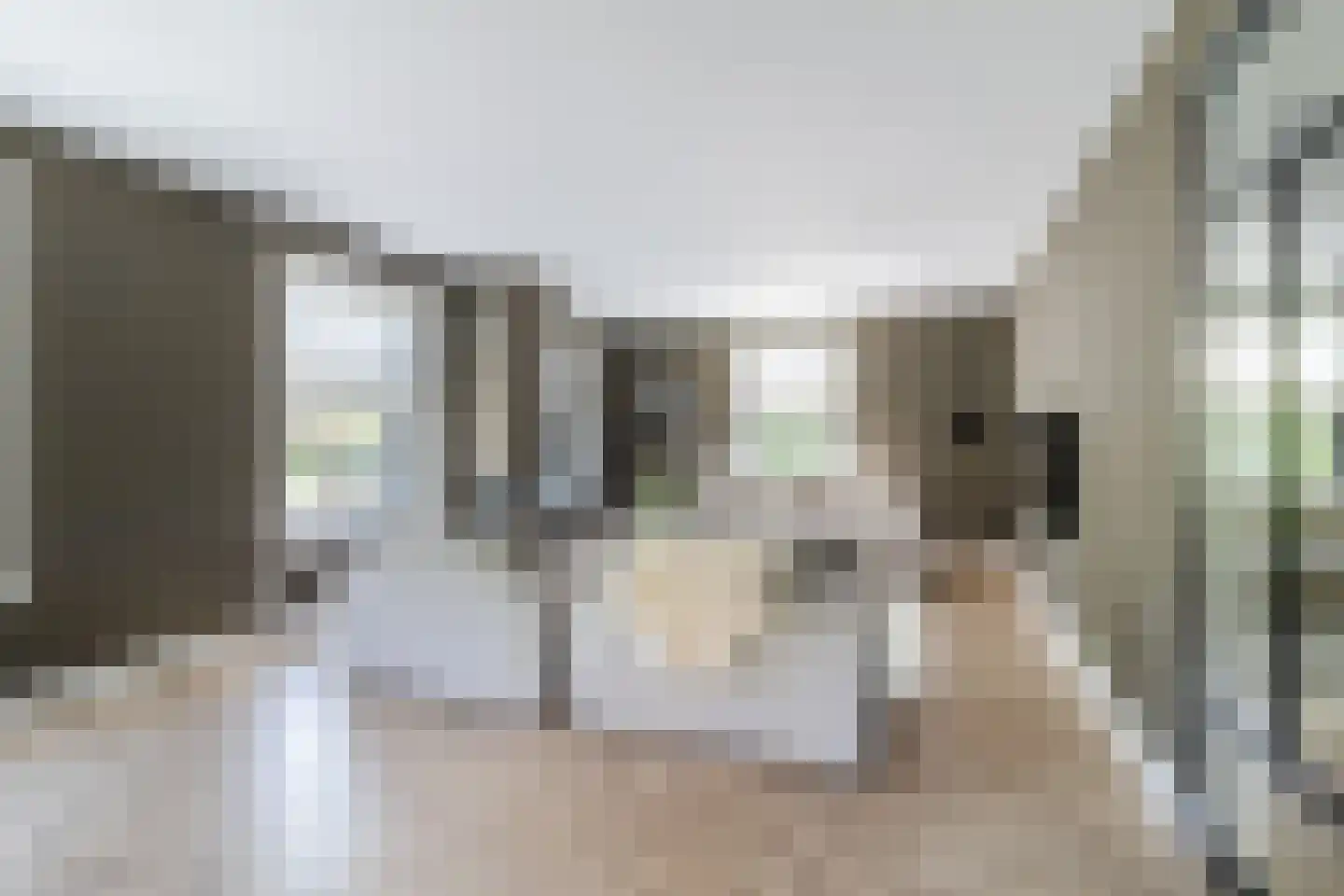 Tuinbouwweg 7 D Waddinxveen thumbnail 12