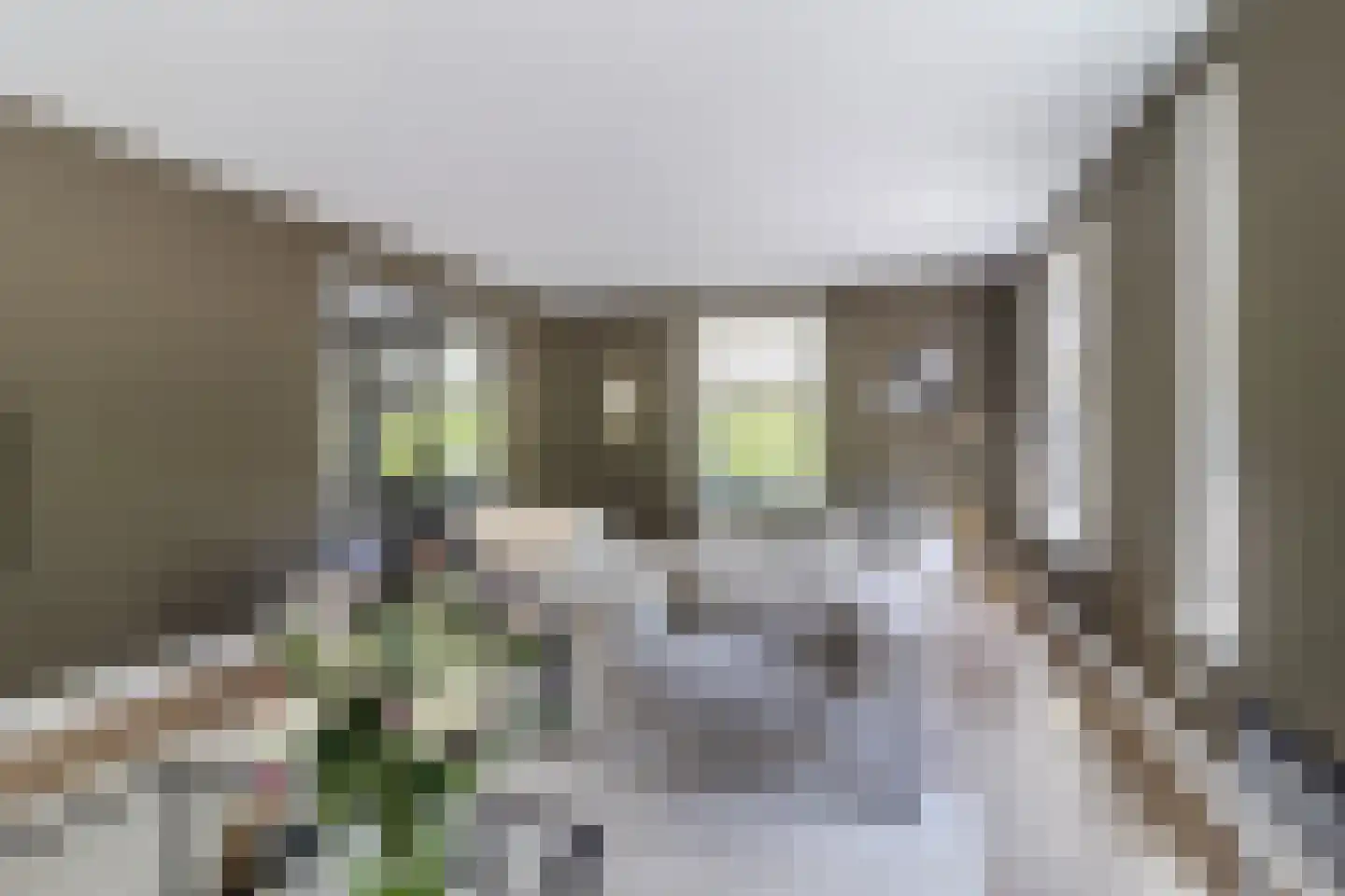 Tuinbouwweg 7 D Waddinxveen thumbnail 21