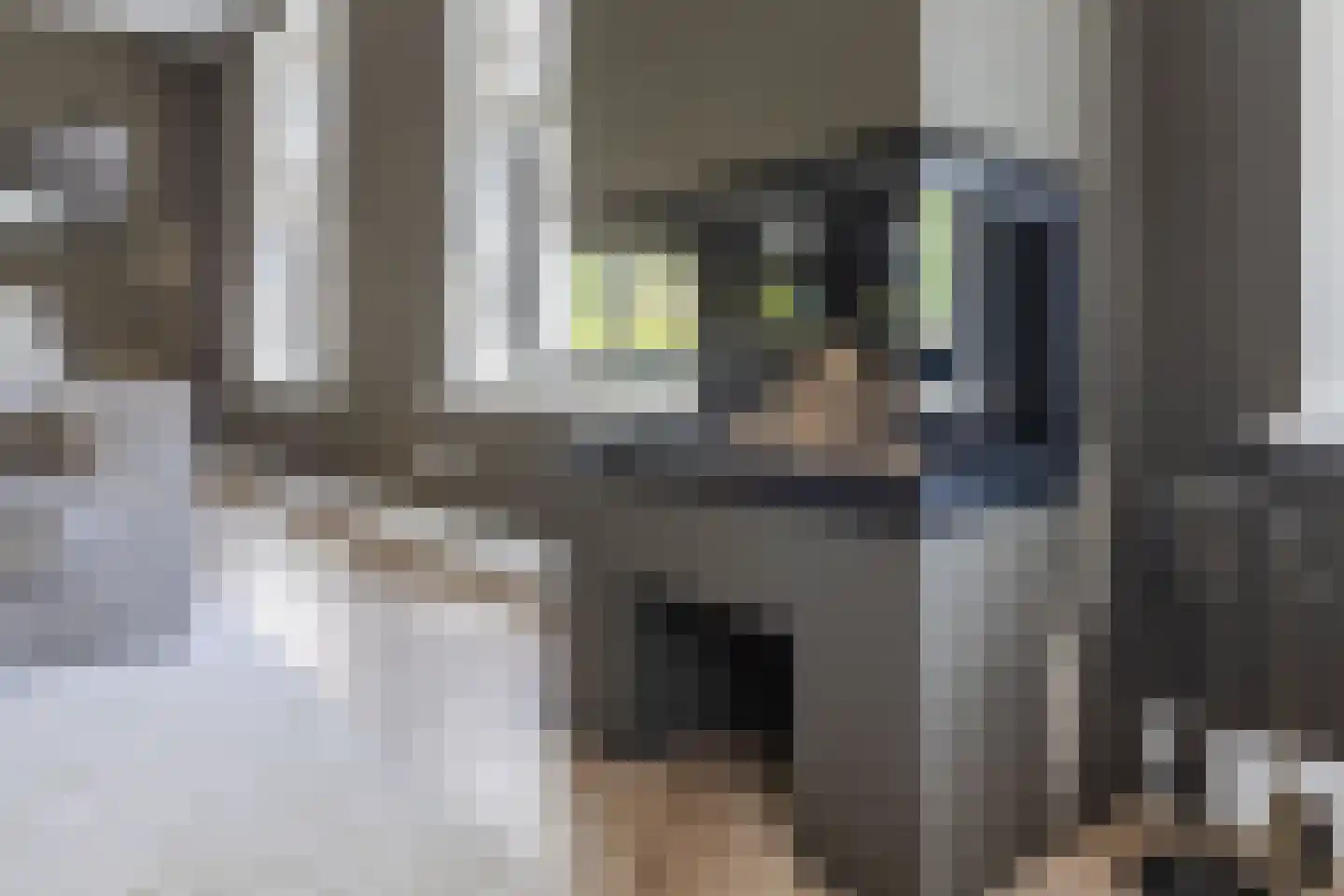 Tuinbouwweg 7 D Waddinxveen thumbnail 23