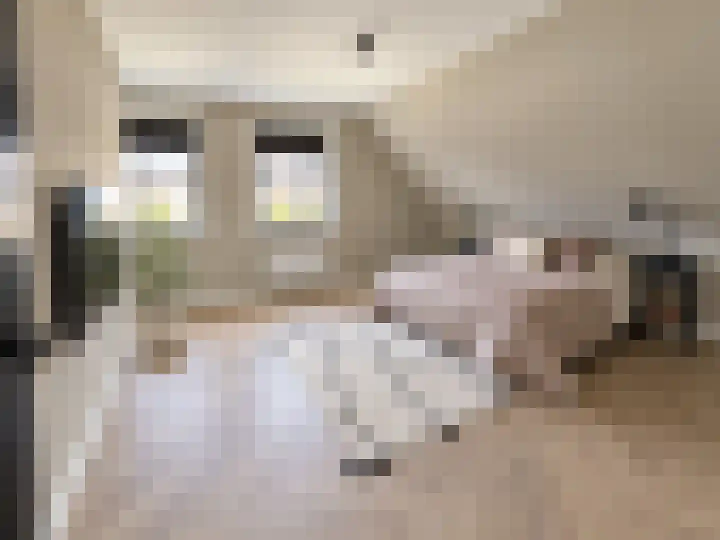 Tuinbouwweg 7 D Waddinxveen thumbnail 23