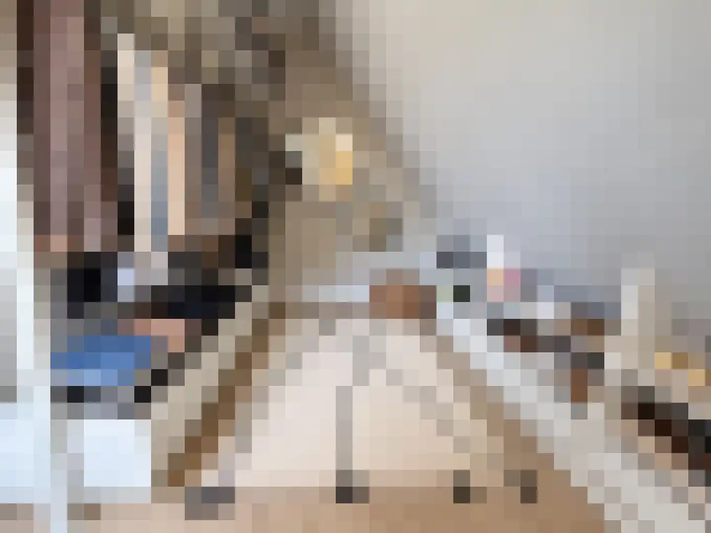 Tuinbouwweg 7 D Waddinxveen thumbnail 26