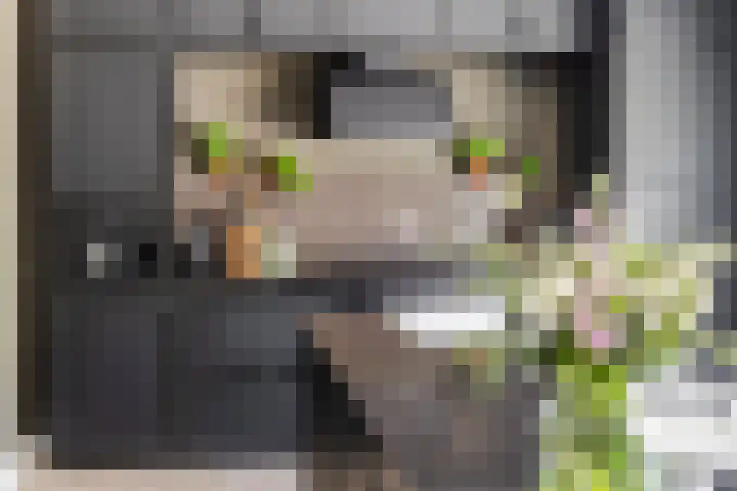 Tuinbouwweg 7 D Waddinxveen thumbnail 27