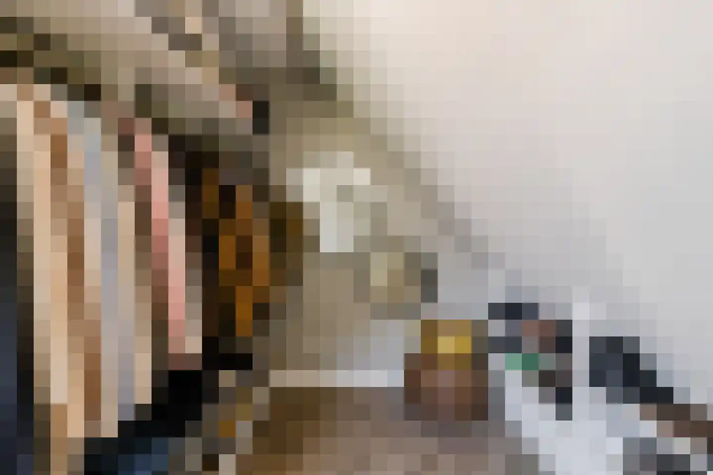 Tuinbouwweg 7 D Waddinxveen thumbnail 35