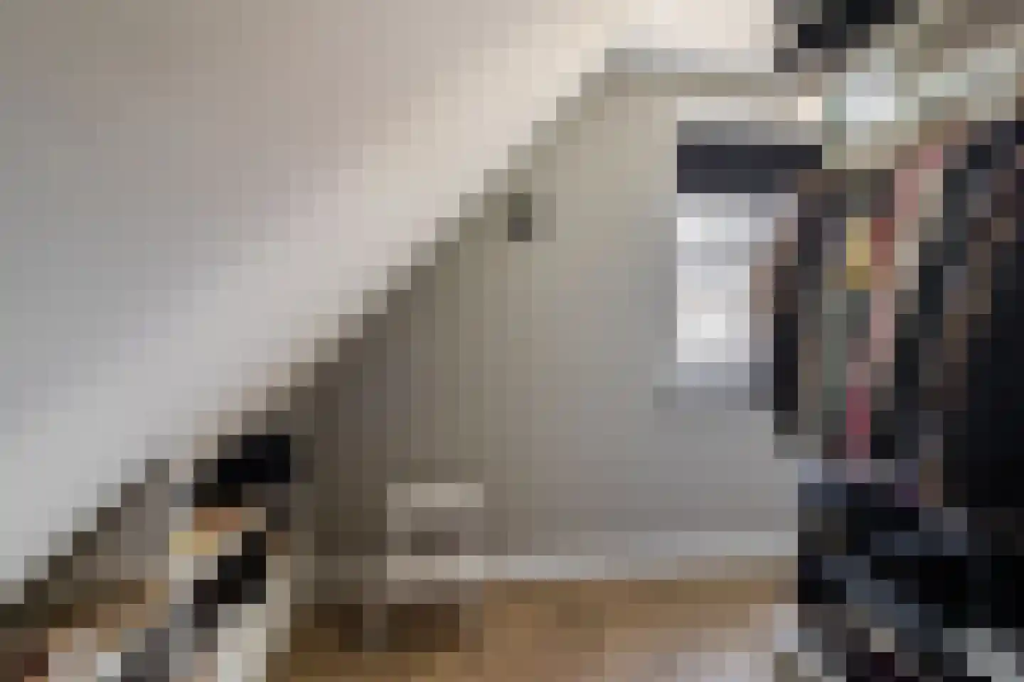 Tuinbouwweg 7 D Waddinxveen thumbnail 36