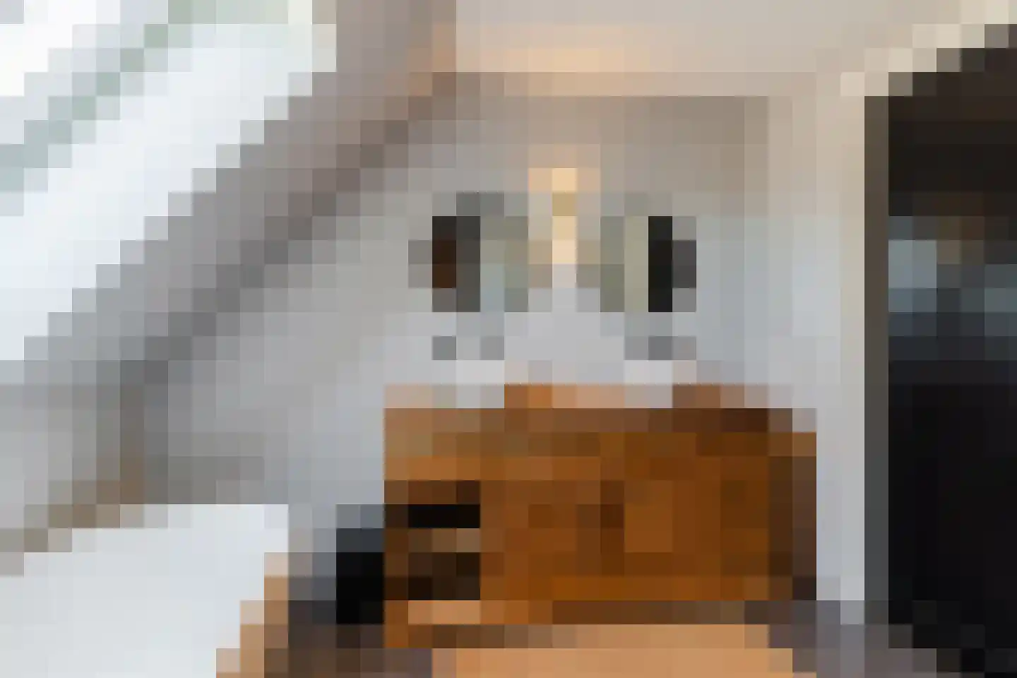Tuinbouwweg 7 D Waddinxveen thumbnail 43