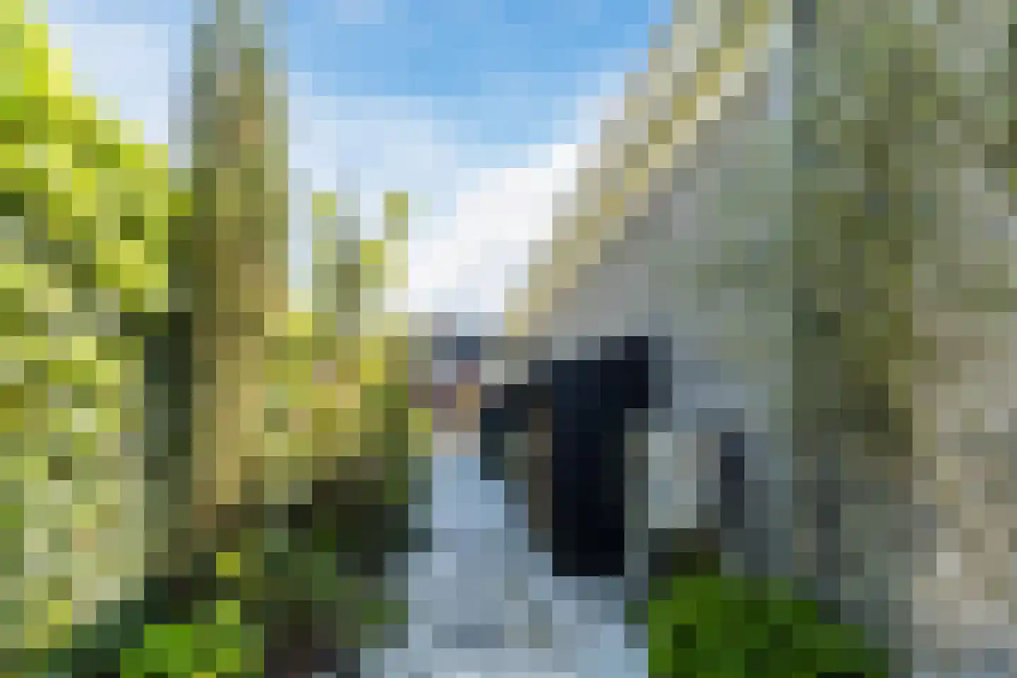 Tuinbouwweg 7 D Waddinxveen thumbnail 57