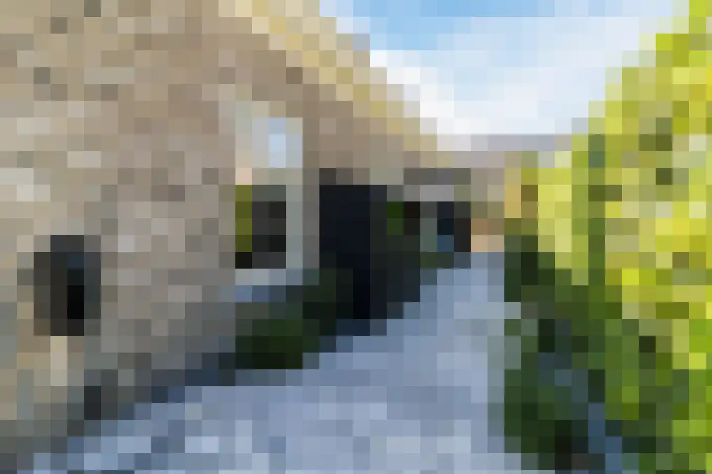 Tuinbouwweg 7 D Waddinxveen thumbnail 58