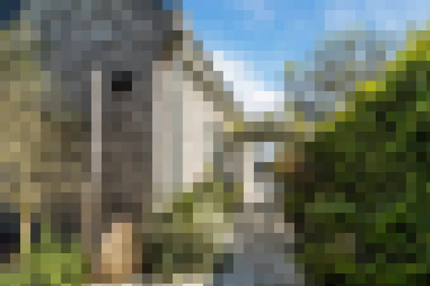Tuinbouwweg 7 D Waddinxveen thumbnail 59