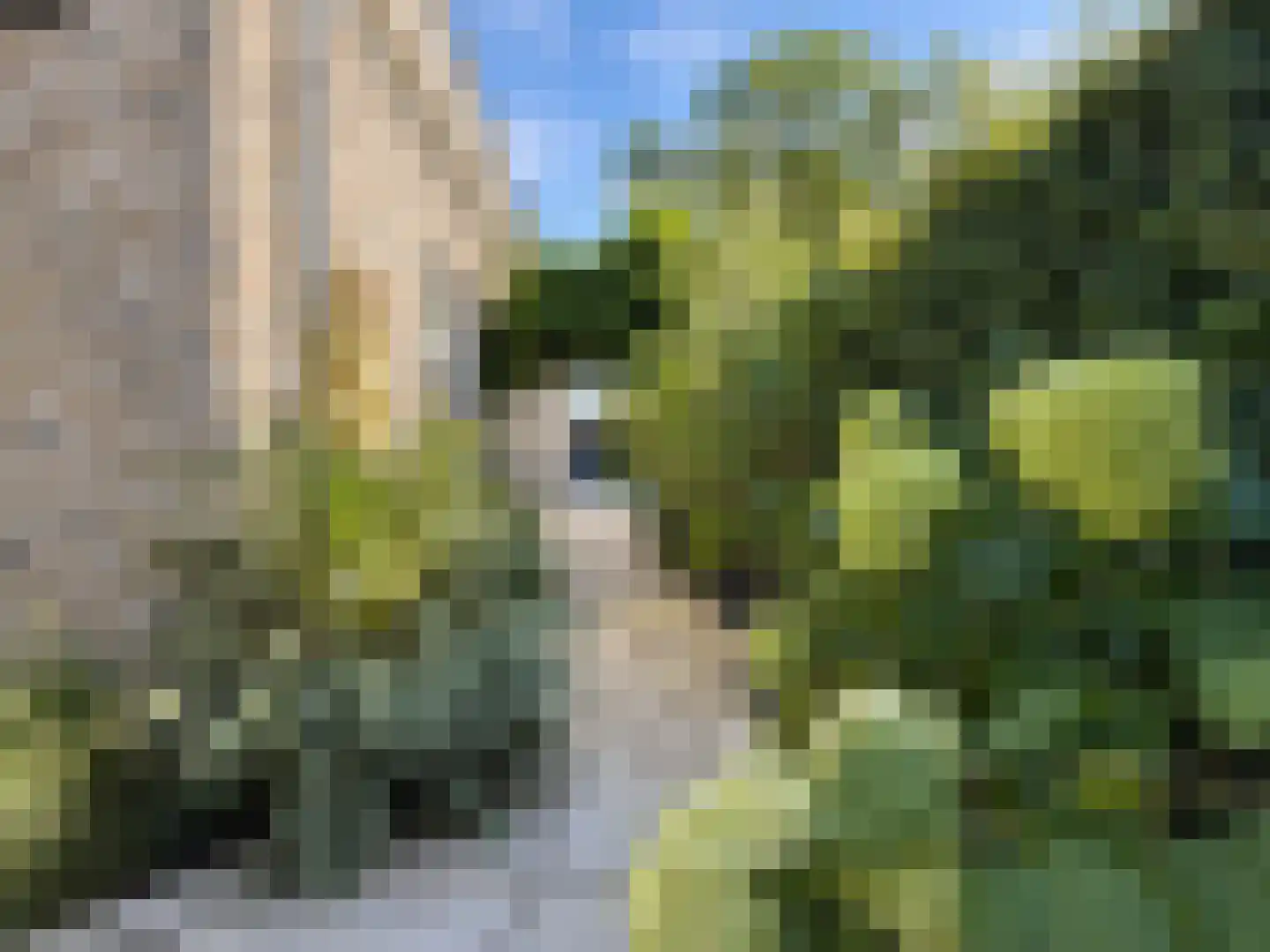 Tuinbouwweg 7 D Waddinxveen thumbnail 6