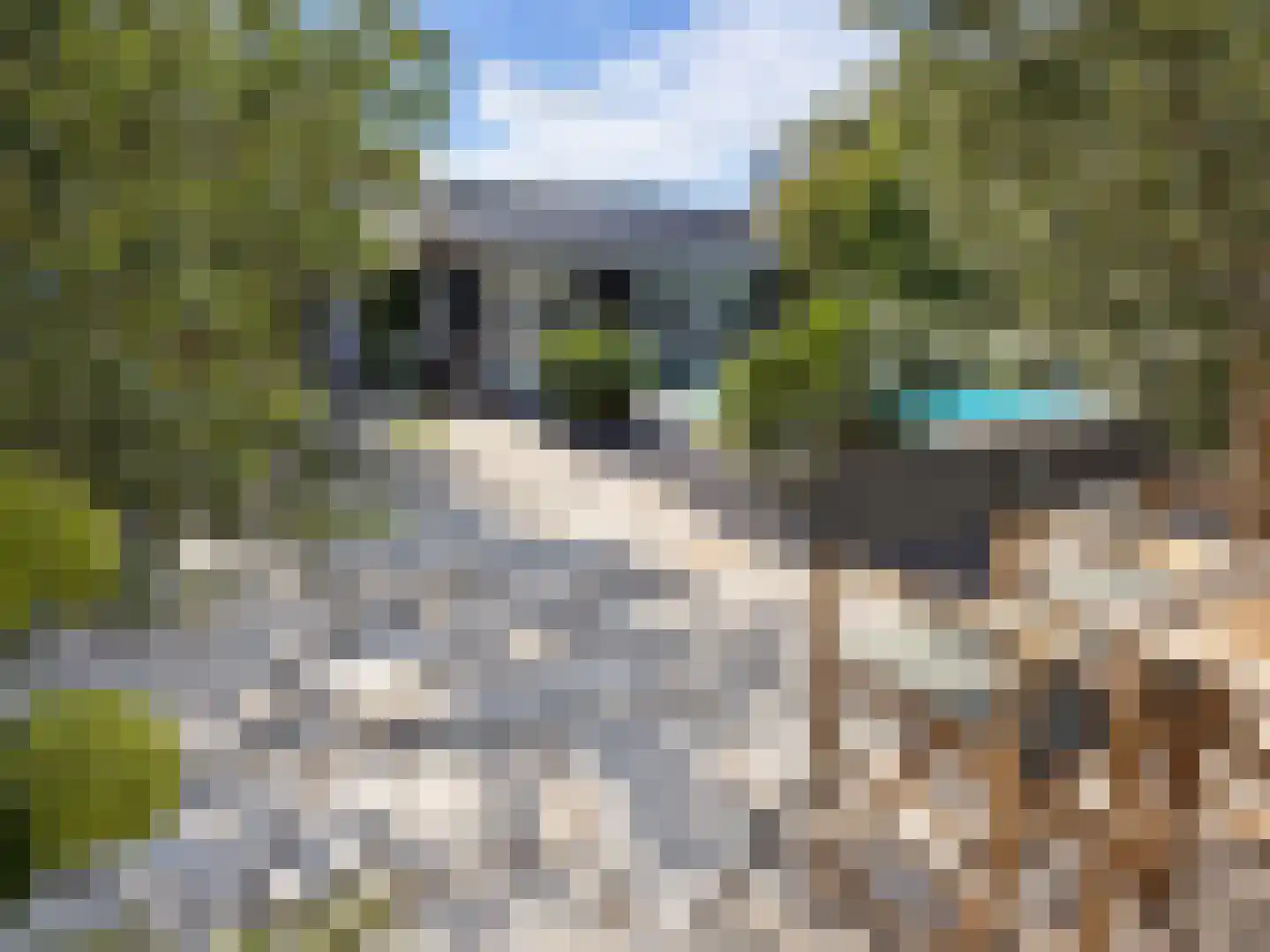 Tuinbouwweg 7 D Waddinxveen thumbnail 8
