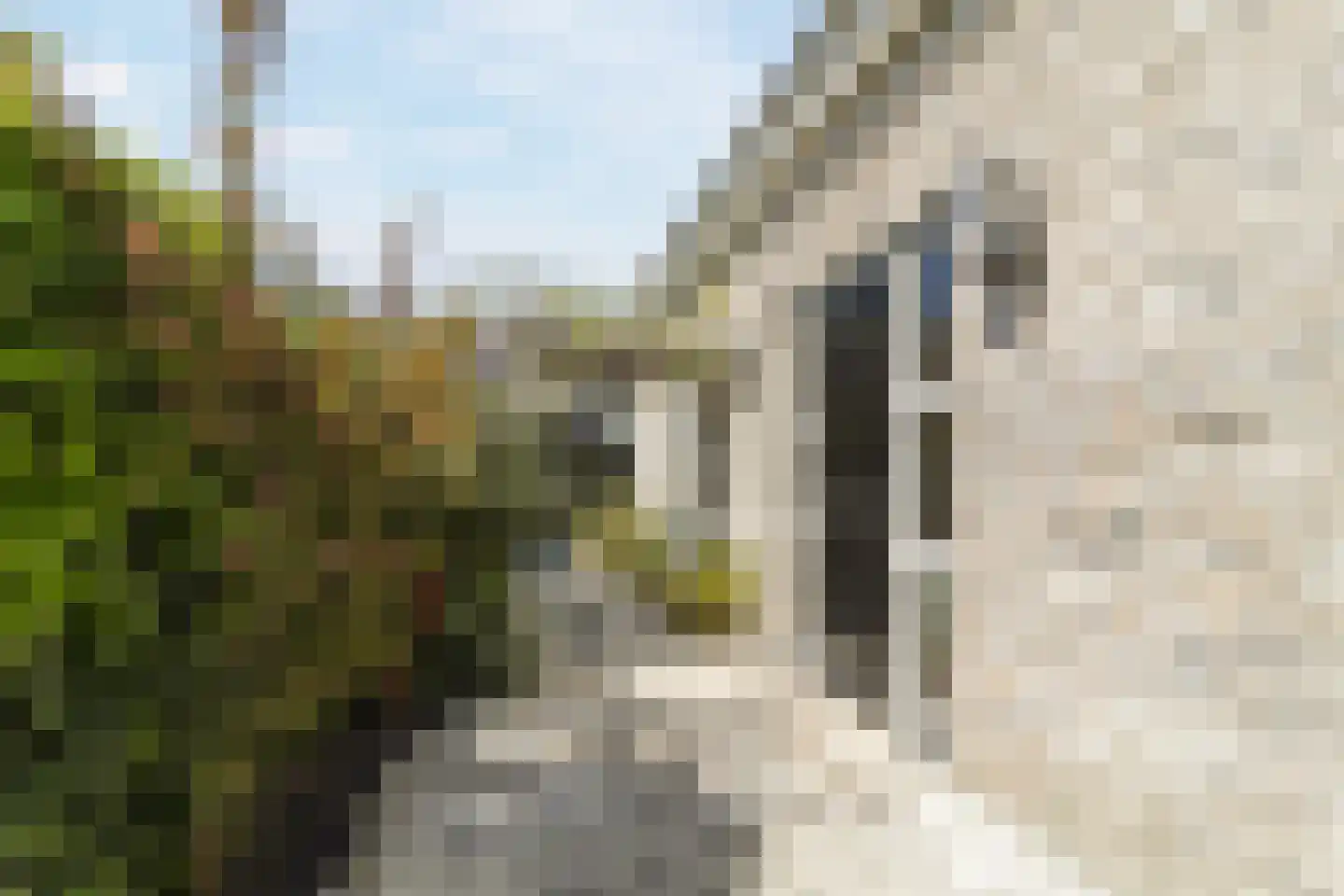Tuinbouwweg 7 D Waddinxveen thumbnail 9